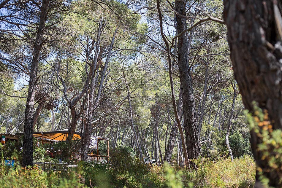 Navettes Saleccia Off Road : Camping de Saleccia